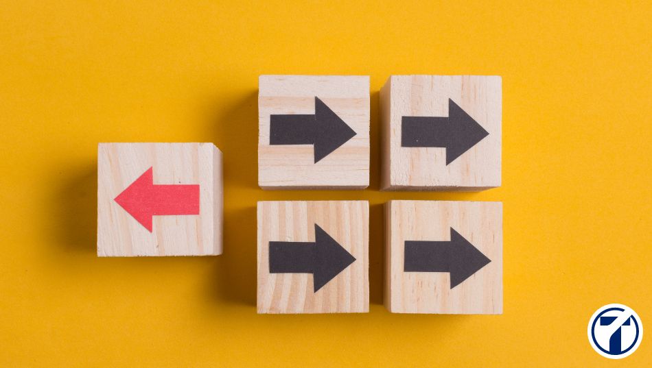 Regímenes de la Seguridad Social obligados a Sistema RED